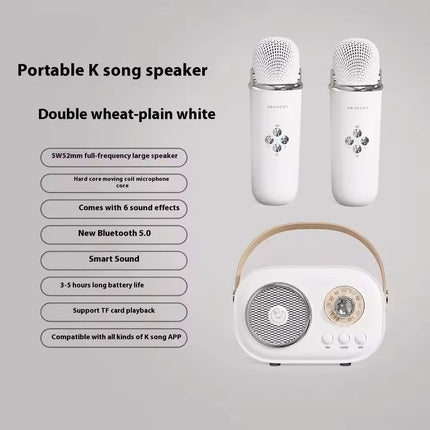 Portable Karaoke Bluetooth Speaker