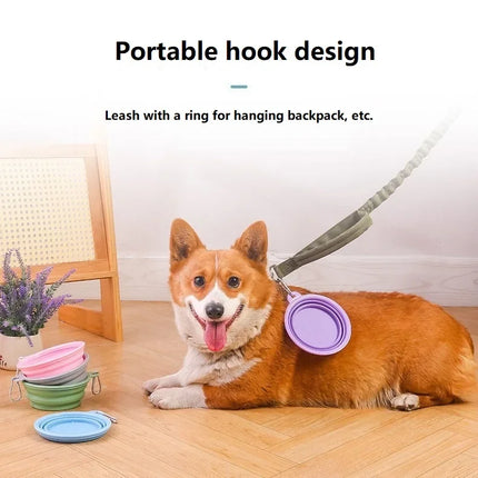 Collapsible Silicone Pet Bowl