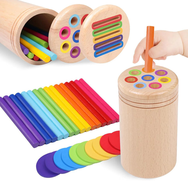 Wooden Coin and Color Sorting Game for Toddlers