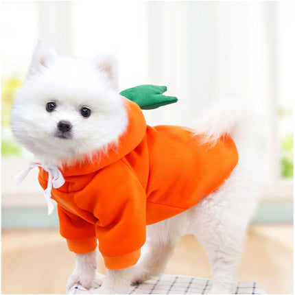 Cute Fleece Dog Hoodie