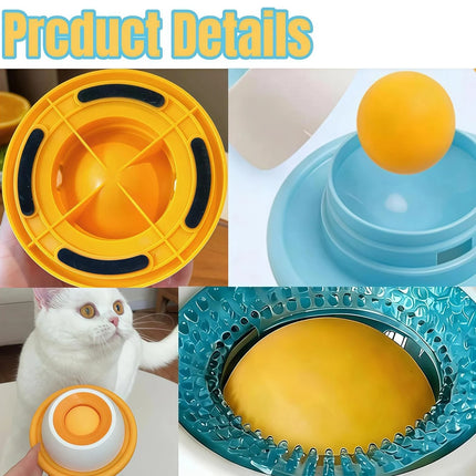 Slow Feeding Dog Bowl