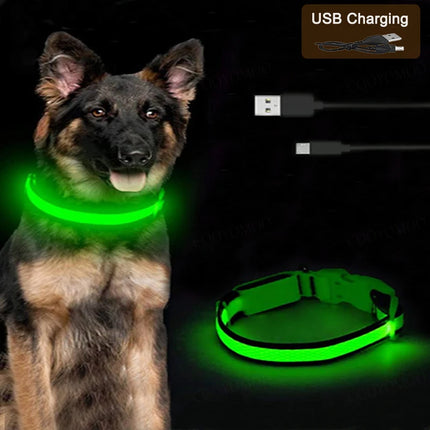 LED Pet Collar