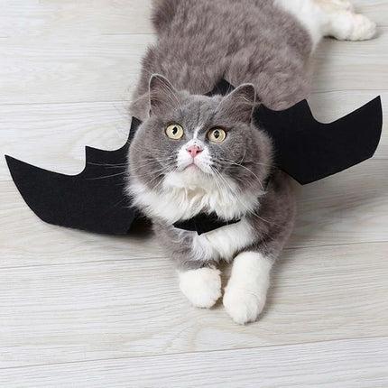 Bat Wing Pet Costume