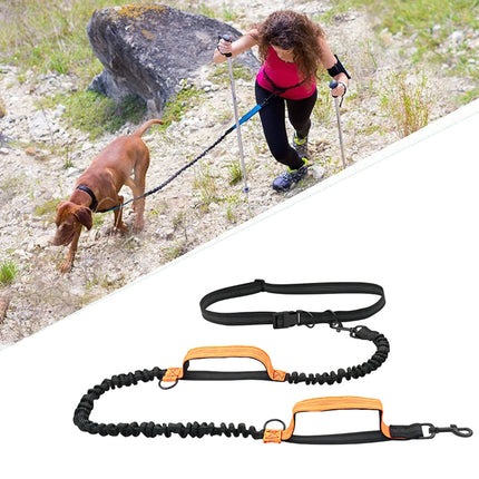 Double Elastic Reflective Dog Leash