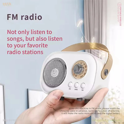 Portable Karaoke Bluetooth Speaker