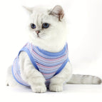 XS（old） / Blue
