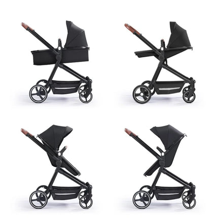 Multi-Functional Baby and Pet Stroller