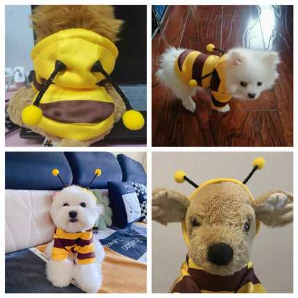 Bee Pet Hoodie