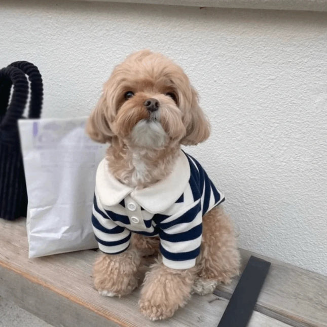Striped Collared Dog Shirt