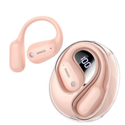 Wireless Translation Earbuds