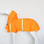 S / Orange