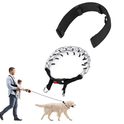 Dog Training Collar