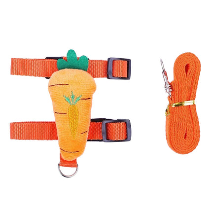 Small Pet Harness Set