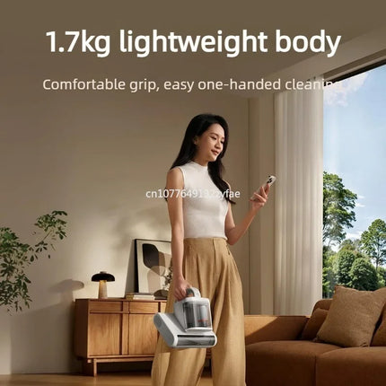 Handheld Dust Mite Vacuum Cleaner