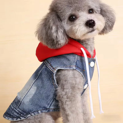 Denim Puppy Hoodie Jacket