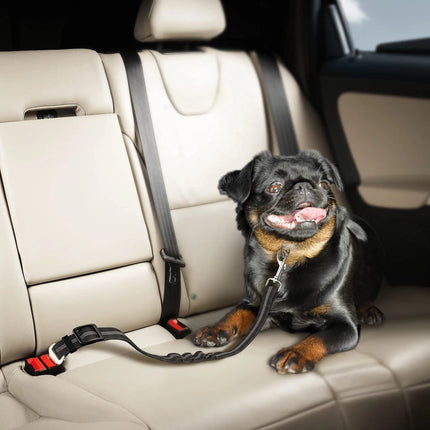 Dog Car Safety Belt