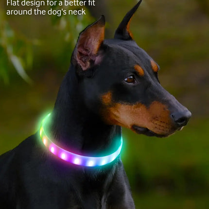 USB Rechargeable LED Dog Collar