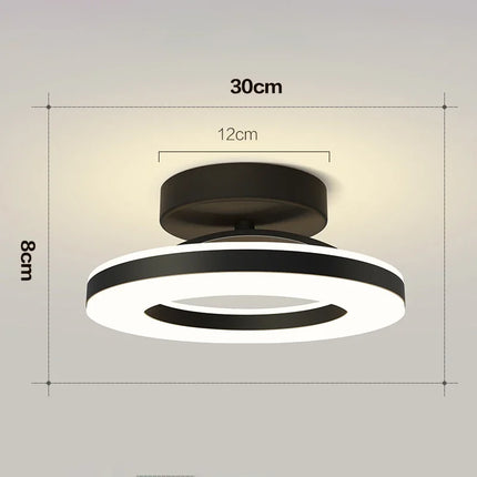 Modern LED Ceiling Lamp