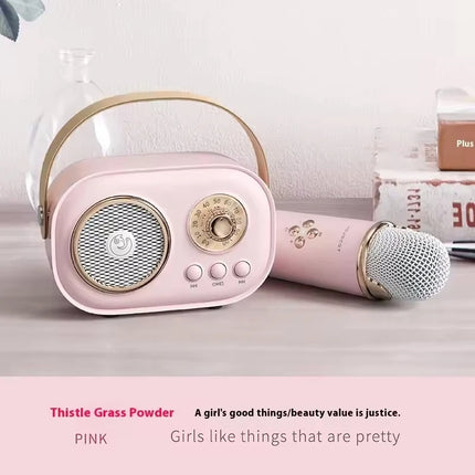 Portable Karaoke Bluetooth Speaker