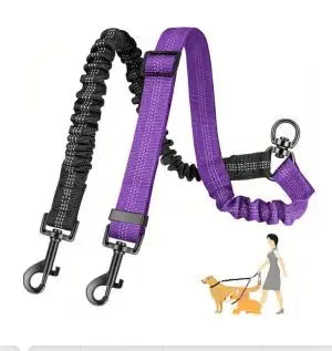 Dual Dog Leash Attachment