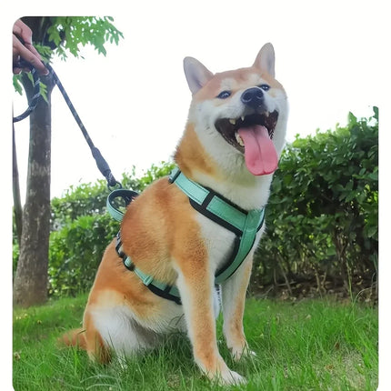 Adjustable Dog Harness
