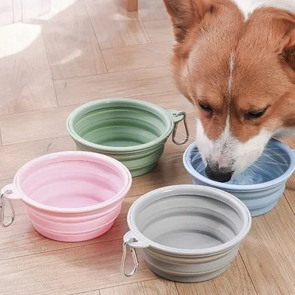 Collapsible Silicone Pet Bowl