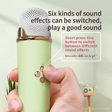 Portable Karaoke Bluetooth Speaker