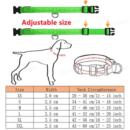 LED Pet Collar