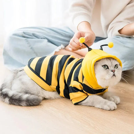 Bee Pet Hoodie