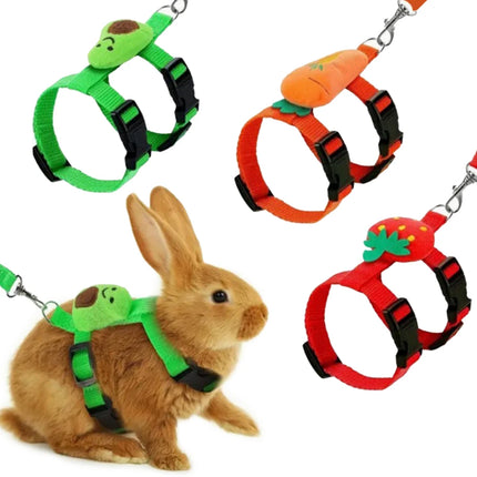 Small Pet Harness Set