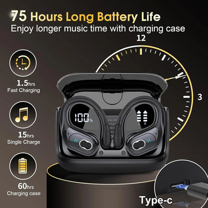 NNEOBA Bluetooth 5.4 Wireless Earbuds with Ear Hooks