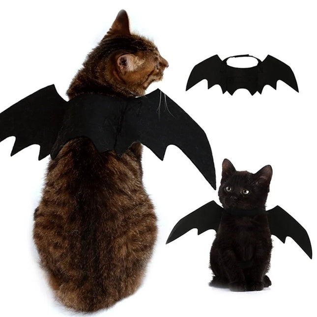 Bat Wing Pet Costume