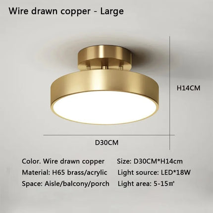 Modern Nordic LED Ceiling Light