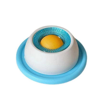 Slow Feeding Dog Bowl