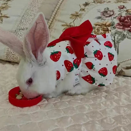 Rabbit Bow Pet Dress