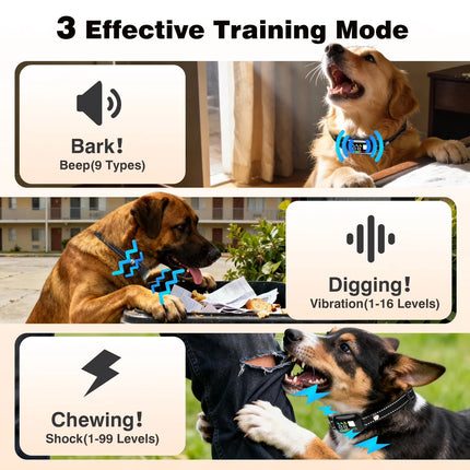 Automatic Dog Training Collar
