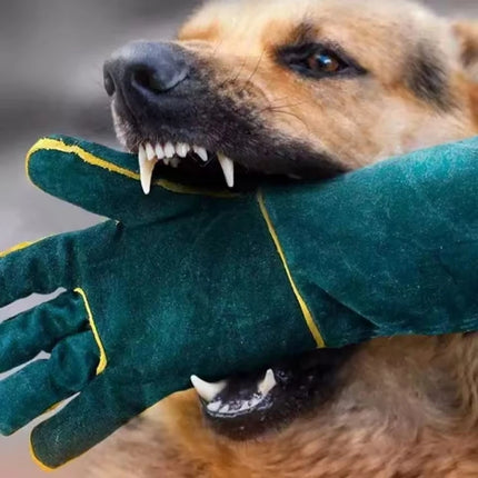 Animal Handling Gloves