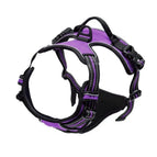 M / Purple