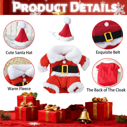Santa Pet Costume