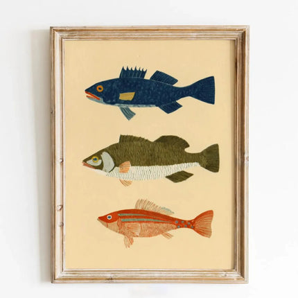 Pink Sardine Canvas Wall Art