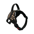 XS（old） / Leopard