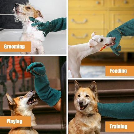 Animal Handling Gloves
