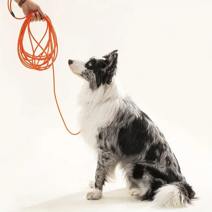 Waterproof Dog Training Leash