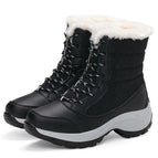 Black / 36