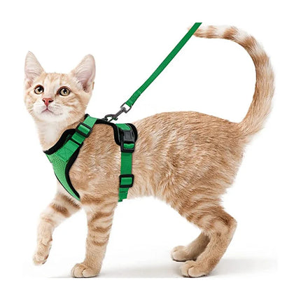 Soft Cat Harness Set