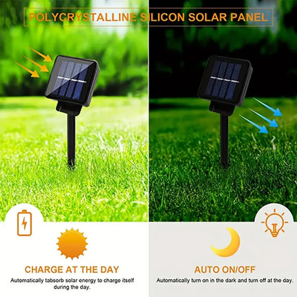 Solar Dragonfly String Lights