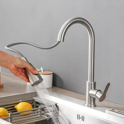 Flexible Pull-Out Kitchen Faucet