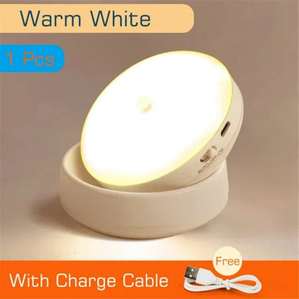 USB Rechargeable Motion Sensor Night Light