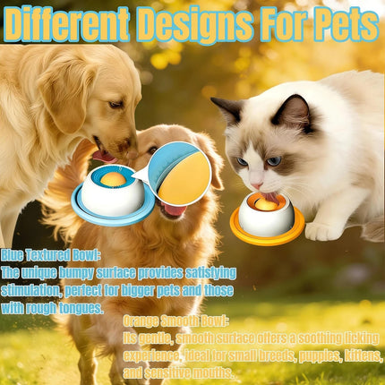 Slow Feeding Dog Bowl