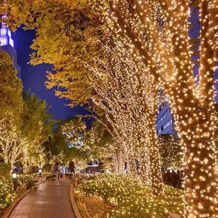 Solar LED Fairy String Lights